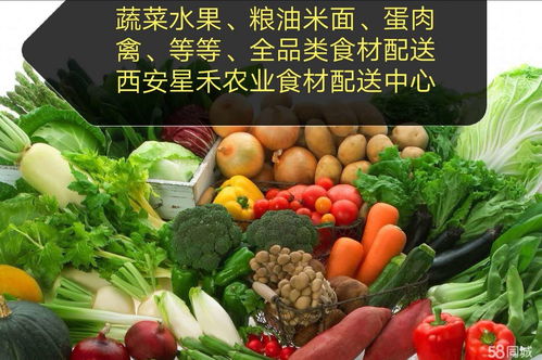 食堂送菜配送蔬菜公司 為餐飲行業(yè)提供高效、新鮮的蔬菜供應(yīng)